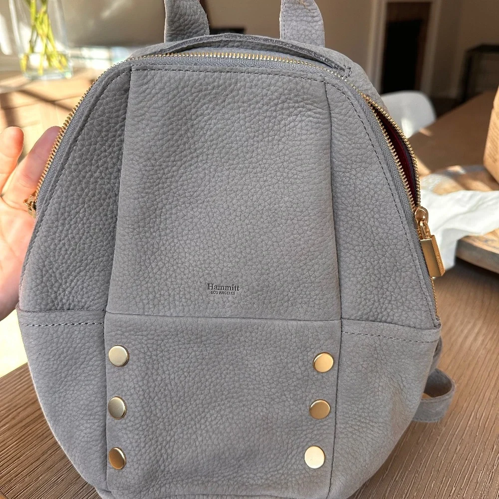 Hammitt Backpack - COPY